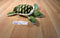 Green Sea Turtle Plush From Aruba