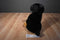 Goffa Sitting Rottweiler Puppy Dog Plush