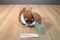 Sugar Loaf Brown and White Bunny Rabbit Plush