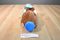 Sugar Loaf Brown and White Bunny Rabbit Plush