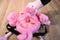 Flamingo Hotel and Casino Phil Mingo Backpack
