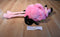 Flamingo Hotel and Casino Phil Mingo Backpack