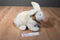 Gund Briggs White Bunny Rabbit Beanbag Plush