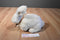 Gund Briggs White Bunny Rabbit Beanbag Plush