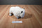 National Buffalo Museum White Cloud the Albino Bison Plush