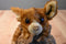 Aurora Greatr Bush Baby Beanbag Plush