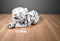 Discovery Channel Wild Life Sundar White Bengal Tiger 1999 Plush