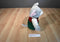 Gibson Greetings Chris Mouse 1995 Plush