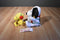 Hallmark Peanuts Christmas Snoopy Plush and Woodstock Beanbag Plush