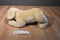 Animal Alley Yellow Lab Beanbag Plush