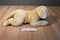 Animal Alley Yellow Lab Beanbag Plush
