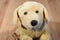Animal Alley Yellow Lab Beanbag Plush