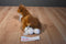 Aurora Flopsies Clydesdale Horse Beanbag Plush
