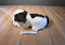 Kellytoy Kennel Klub Artee the Spaniel Plush