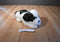 Kellytoy Kennel Klub Artee the Spaniel Plush