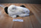 Kellytoy Kennel Klub Artee the Spaniel Plush