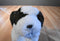 Kellytoy Kennel Klub Artee the Spaniel Plush