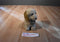 Aurora Classic Prestige Golden Retriever 1996 Plush