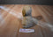 Aurora Classic Prestige Golden Retriever 1996 Plush