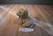 Aurora Classic Prestige Golden Retriever 1996 Plush