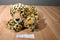 Aurora Cheetah and Cub Plush