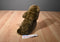 Dakin Lou Rankin Oliver Sea Otter 2000 Beanbag Plush