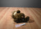 Dakin Lou Rankin Oliver Sea Otter 2000 Beanbag Plush