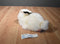 Russ Bounce White and Black Bunny Rabbit