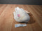 Russ Bounce White and Black Bunny Rabbit