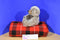 Russ Wesley Brown Bear Beanbag Plush
