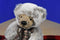 Russ Wesley Brown Bear Beanbag Plush