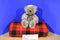 Russ Wesley Brown Bear Beanbag Plush