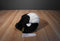 Build a Bear Panda Bear Plush