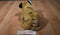 Jaag Bengal Tiger Beanbag Plush