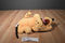 Disney Parks Pluto Laying Plush
