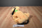Disney Parks Pluto Laying Plush