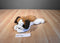 Ty Classic Yodeler Saint Bernard 2006 Beanbag Plush
