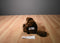 Kohl's Cares Gund Beaver Beanbag Plush