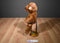 Ty Classic Taffybeary Brown Teddy Bear 1999 Beanbag Plush