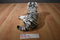 Rainforest Cafe White Bengal Tiger Beanbag Plush
