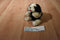 Big Dogs White and lack Saint Bernard Beanbag Plush