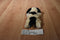 Big Dogs White and lack Saint Bernard Beanbag Plush