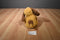 Animal Adventure Beige and Brown Dog 2011 Plush With Red Heart