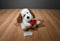 Animal Adventure White and Brown Dog Plush With Red Heart