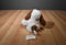 Animal Adventure White and Brown Dog Plush With Red Heart