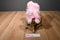 Keel Toys Pink Poodle From Paris France Beanbag Plush
