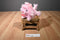 Keel Toys Pink Poodle From Paris France Beanbag Plush