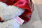 Russ Annalise Beige Teddy Bear Beanbag Plush in Red Flower Dress Plush