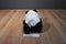 Wildlife Artists Conservation Collection Panda Bear Beanbag Plush