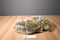 Ty Classic Pumpkin Brown Bear 1994 Beanbag Plush